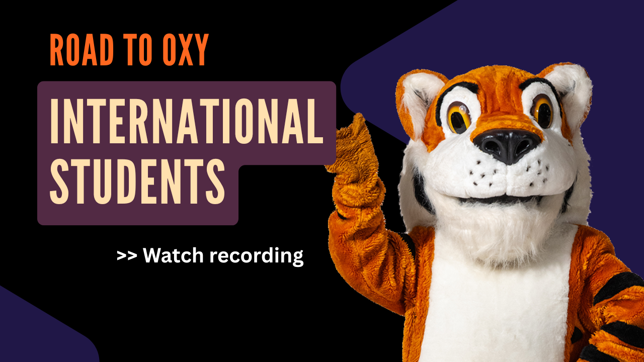 Click here to watch the international overview webinar for incoming students